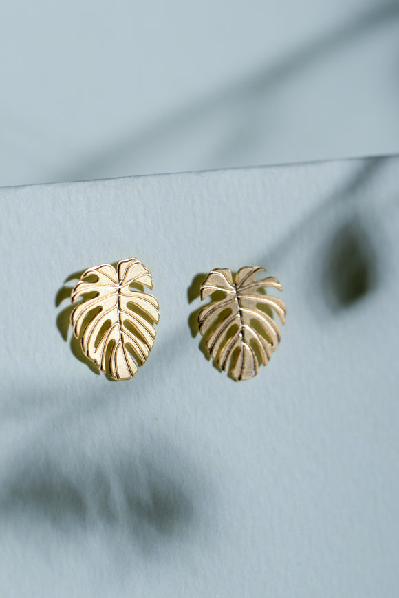 Monstera Deliciosa Stud earrings